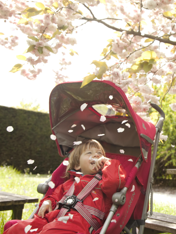 Lifestyle_UK_Botanic_Garden_7012_11的副本