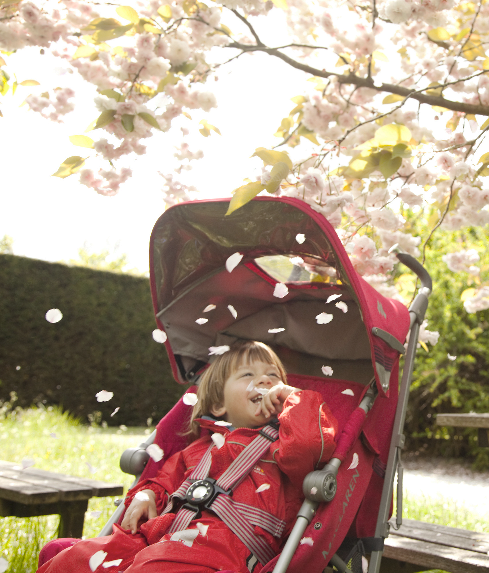 Lifestyle_UK_Botanic_Garden_7012_11的副本